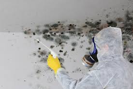 Best Real Estate Mold Inspection  in Ofallon, IL